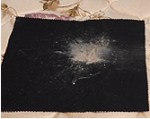 Dust, Dirt, And Dust Mites As Removed From A Mattress