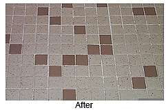 The Hygienic Home's Steam Cleaning of Grout And Tile Eliminates Dirt, Germs, Mold And Mildew