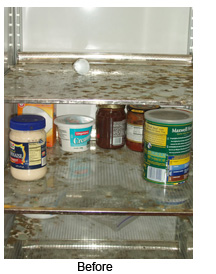 Refrigerators, Coolers And Freezers Can Contain Contaminants, Spilled Food, Mold, Or Mildew