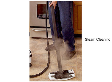 Pure Water Vapor Steam Cleaning Is An Eco-Friendly, Green Method For Eliminating Household Germs And Bacteria